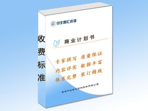 白銀地區(qū)專業(yè)商業(yè)計劃書編制指南與文化經紀人服務