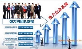 湖南網店美工設計、代運營與網絡營銷策劃 一站式電商服務解決方案